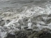 026.webp