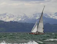 h456.webp