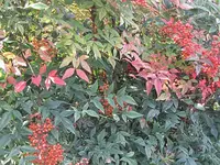 015.webp