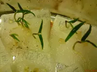DSC01704.JPG