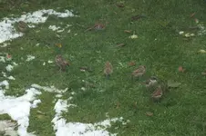 2013_1112Herbst0037.webp