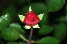 DSC00566.webp