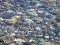 Steine3.webp