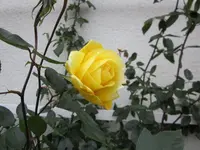 2013 090.webp