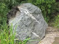 132.webp