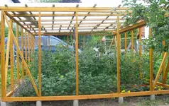 Tomatenhaus1.webp