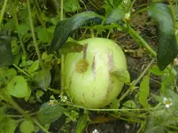 CIMG3639.webp