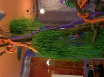 IMG_20131114_230253.webp