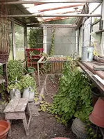Gewächshaus.webp