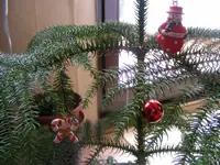 Tanne mit Schmuck.webp