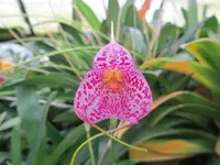 IMG_1291 - Kopie.webp