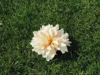 Bilda 0288.webp
