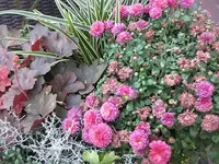 047.webp