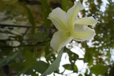 _DSC3685.webp