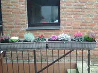 Herbstbepflanzung.webp