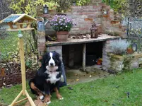 Garten8.webp