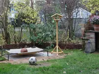 Garten9.webp