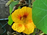 CIMG6046.webp