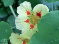 CIMG6053.webp