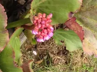 011.webp