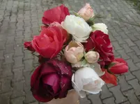 CIMG3799.webp
