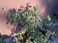2013-11-13-187.webp