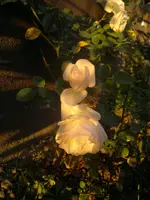2013-11-13-199.webp