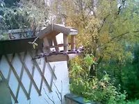 Vogelhaus 1.webp