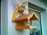 Vogelhaus 2.webp