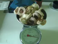 Ernte 17.11 Shiitake.webp