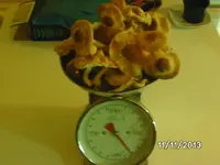 Ernte 18.11 Shiitake.webp