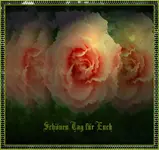 rosetite5l.webp