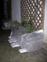 IMGP5772.webp