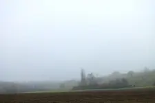 2013_1119Herbst0016nebel.webp
