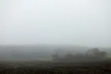 2013_1119Herbst0022 nebel ..webp