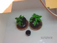 Growbox.webp
