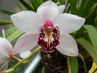 DSCN8601.webp
