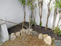 2013 Nov-026.webp