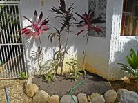 2013 Nov-032.webp