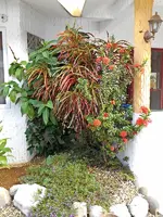 2013 Nov-034.webp