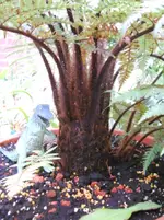 DSCN9796.webp