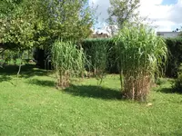 Bild 009.webp
