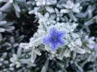 P1060810.webp