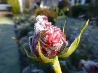 P1060891.webp