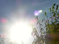 P1060920.webp