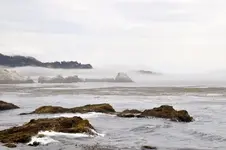 Point Lobos.webp