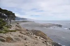 Point Lobos1.webp