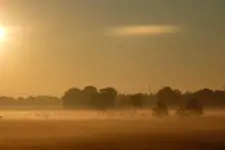 Nebel.webp