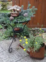 Vogelhäuschen1.webp