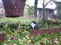 20.11.013 (2).webp